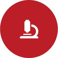sus_innovation